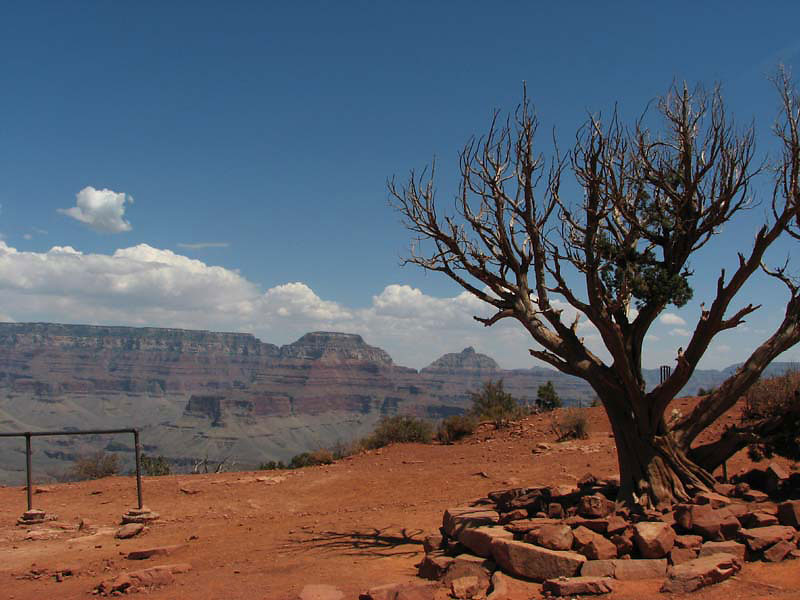 Grand Canyon - Cedar Breaks